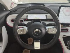 smart #1 2022 Pulse Heartbeat Edition - ფოტო 10