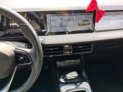 Geely Geometry E Firefly 401km Starlight - ფოტო 12