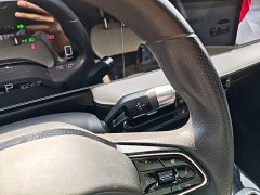 Geely Geometry E Firefly 401km Starlight - ფოტო 13