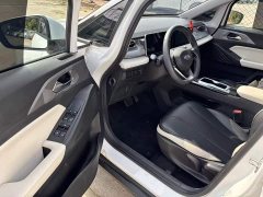 Geely Geometry E Firefly 401km Starlight - ფოტო 15