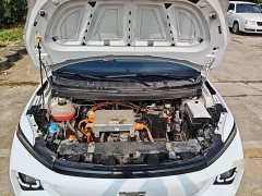 Geely Geometry E Firefly 401km Starlight - ფოტო 19