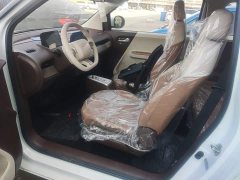Changan Lumin Treasure Edition 205km Cool Love White CATL - ფოტო 15