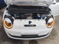 Changan Lumin Treasure Edition 205km Cool Love White CATL - ფოტო 19