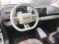 Changan Lumin Treasure Edition 205km Cool Love White CATL - ფოტო 9