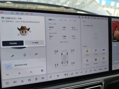 Li Auto L9 2022 Max - ფოტო 11