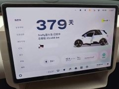 Nio Firefly Luminous Edition - ფოტო 11