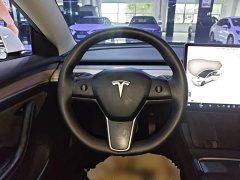 Tesla Model 3 Standard Range RWD Upgrade - ფოტო 10