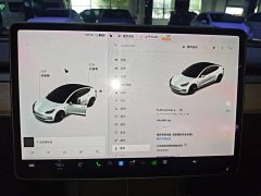 Tesla Model 3 Standard Range RWD Upgrade - ფოტო 11