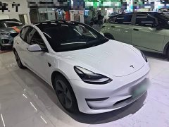 Tesla Model 3 Standard Range RWD Upgrade - ფოტო 3