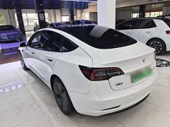 Tesla Model 3 Standard Range RWD Upgrade - ფოტო 4