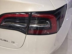 Tesla Model 3 Standard Range RWD Upgrade - ფოტო 7
