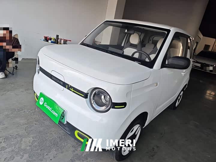 Geely Panda Mini 210km Vitality Edition
