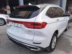 Haval M6 2021 PLUS 1.5T DCT Luxury Smart Connected Edition - ფოტო 6