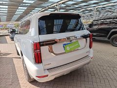 Tank 500 2022 3.0T Business Edition Landscape Trim 5-Seater - ფოტო 4