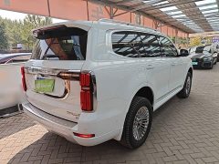 Tank 500 2022 3.0T Business Edition Landscape Trim 5-Seater - ფოტო 6