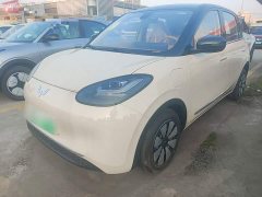 Wuling Binguo 2025 333km Joy Edition - ფოტო 1