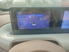 Wuling Binguo 2025 333km Joy Edition - ფოტო 11