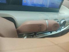 Wuling Binguo 2025 333km Joy Edition - ფოტო 13