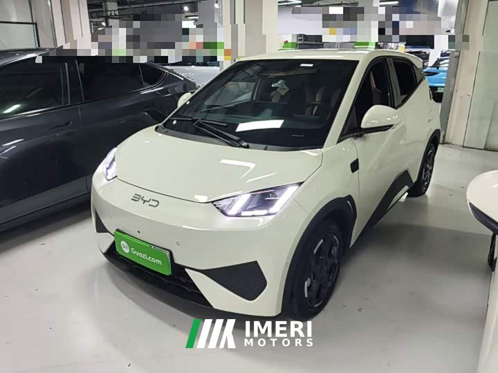 BYD Seagull Smart Driving Edition 305km Freedom Edition