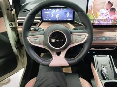 BYD Seagull Smart Driving Edition 305km Freedom Edition - ფოტო 10