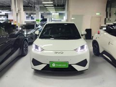 BYD Seagull Smart Driving Edition 305km Freedom Edition - ფოტო 2