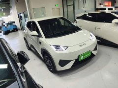 BYD Seagull Smart Driving Edition 305km Freedom Edition - ფოტო 3