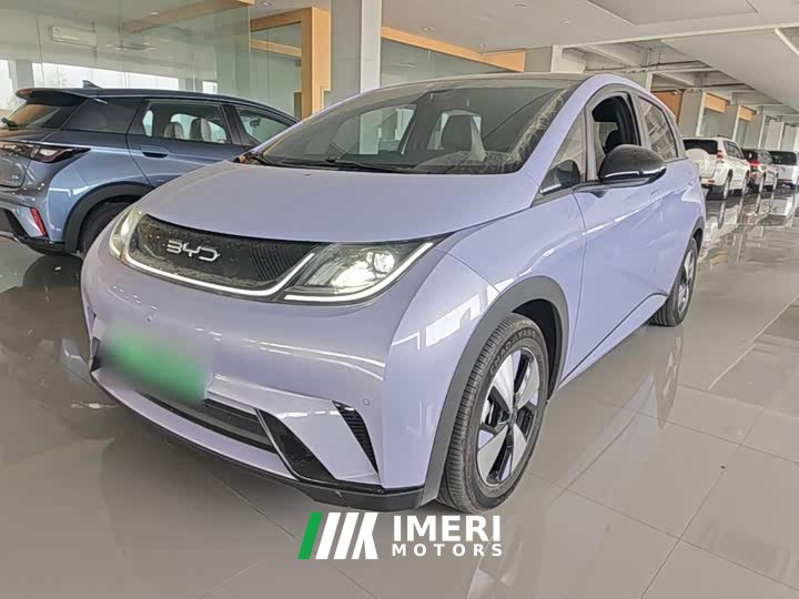 BYD Dolphin 420km Fashion Edition - ავტომობილი ჩინეთიდან