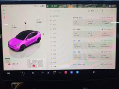 Tesla Model Y 2022 Facelift Rear-Wheel Drive - ფოტო 7