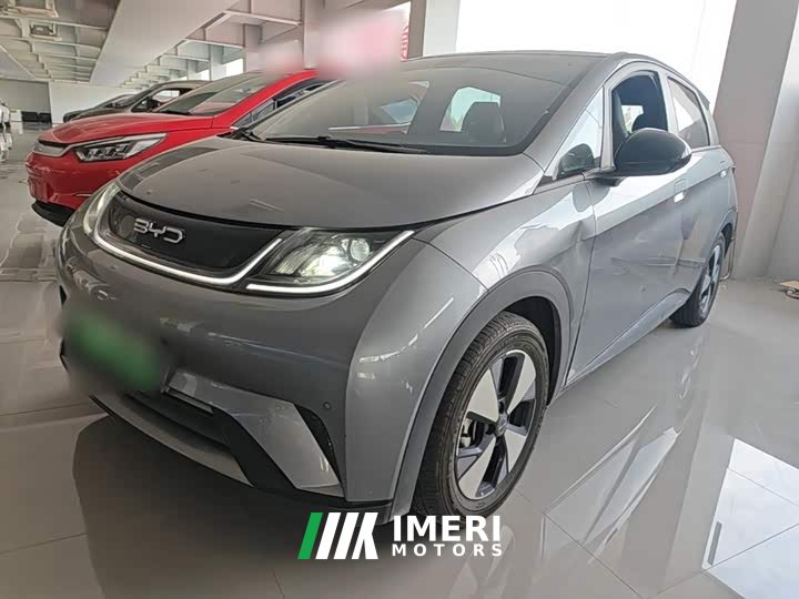 BYD Dolphin 420km Fashion Edition - ავტომობილი ჩინეთიდან