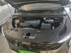 Geely Boyue 1.5TD Longteng Edition - ფოტო 19