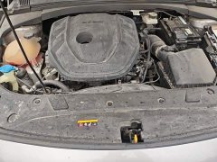 Geely Xingrui 2.0T Diesel Premium Edition - ფოტო 10
