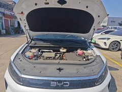 BYD Sealion 05 DM-i Smart Driving Edition 115KM Flagship - ფოტო 19