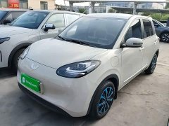 Wuling Binguo 203km Light Enjoy Edition - ფოტო 1