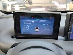Wuling Binguo 203km Light Enjoy Edition - ფოტო 11