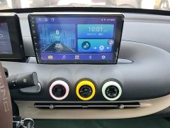 Wuling Binguo 203km Light Enjoy Edition - ფოტო 12
