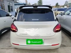 Wuling Binguo 203km Light Enjoy Edition - ფოტო 5