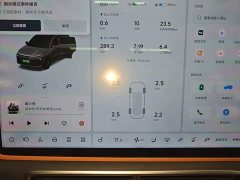 Li Auto L6 Pro - ფოტო 11