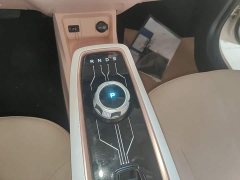 Changan Benben E-Star 2023 Colorful Edition LFP Battery - ფოტო 13