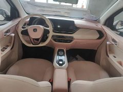 Changan Benben E-Star 2023 Colorful Edition LFP Battery - ფოტო 9