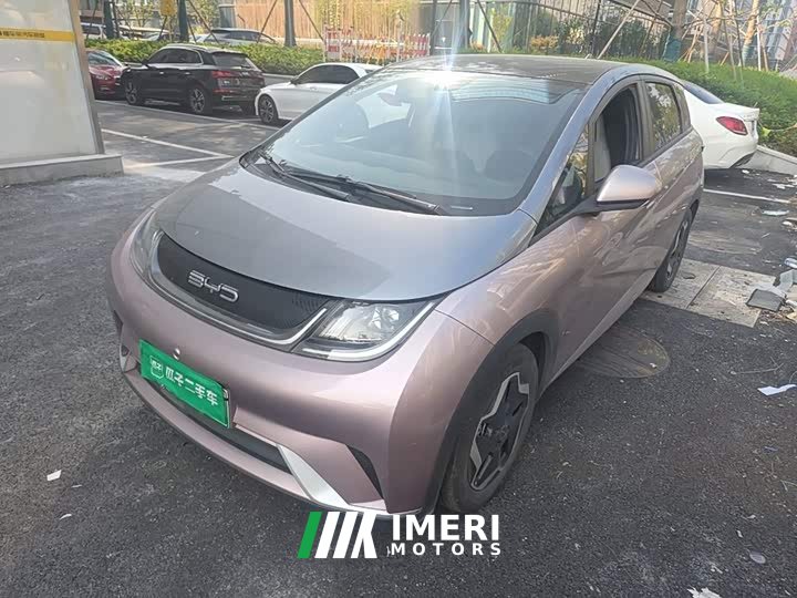 BYD Dolphin 405km Fashion Edition - ავტომობილი ჩინეთიდან