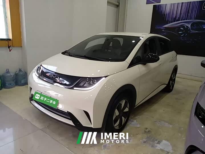 BYD Dolphin 420km Freedom Edition - ავტომობილი ჩინეთიდან