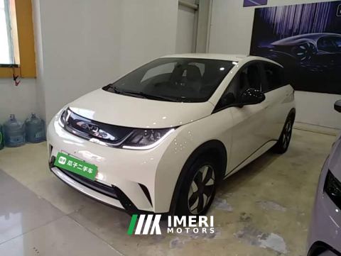 2025 BYD Dolphin 420km Freedom Edition