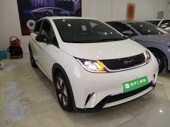 BYD Dolphin 420km Freedom Edition - ფოტო 3