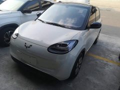 Wuling Binguo 333km Joy Edition - ფოტო 1