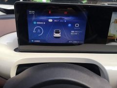 Wuling Binguo 333km Joy Edition - ფოტო 11