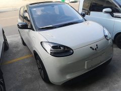Wuling Binguo 333km Joy Edition - ფოტო 3