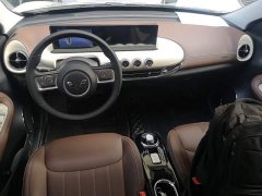 Wuling Binguo 333km Joy Edition - ფოტო 9
