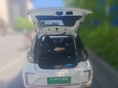 Flower Fairy Lotus Flower Anniversary Edition 301km Starry Sky 45kW - ფოტო 9