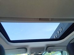 Ford 1.5T E-PHEV Luxury Version - ფოტო 17