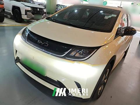 2024 BYD Dolphin 420km Freedom Edition